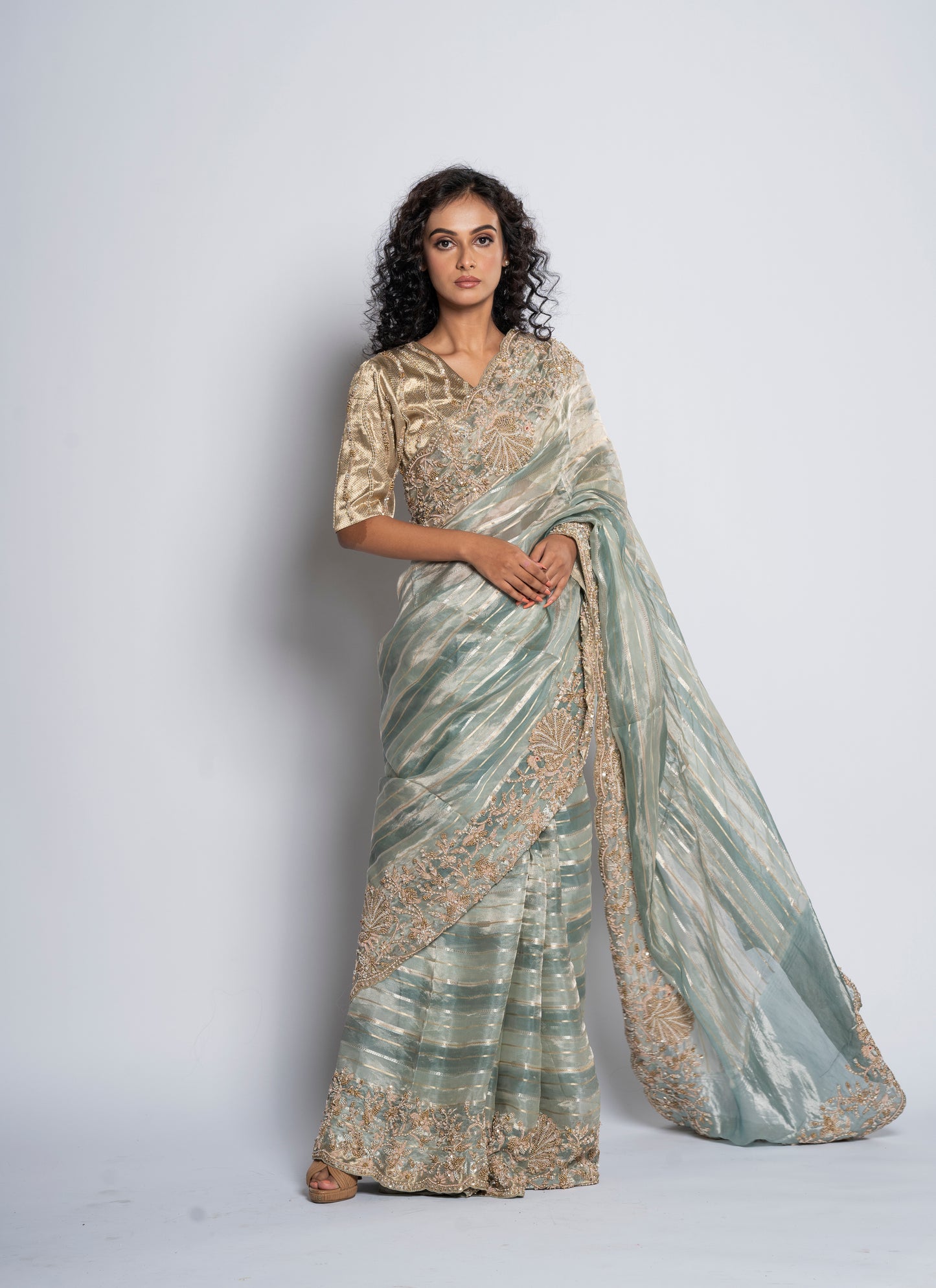Pure silk tissue saree (7823)