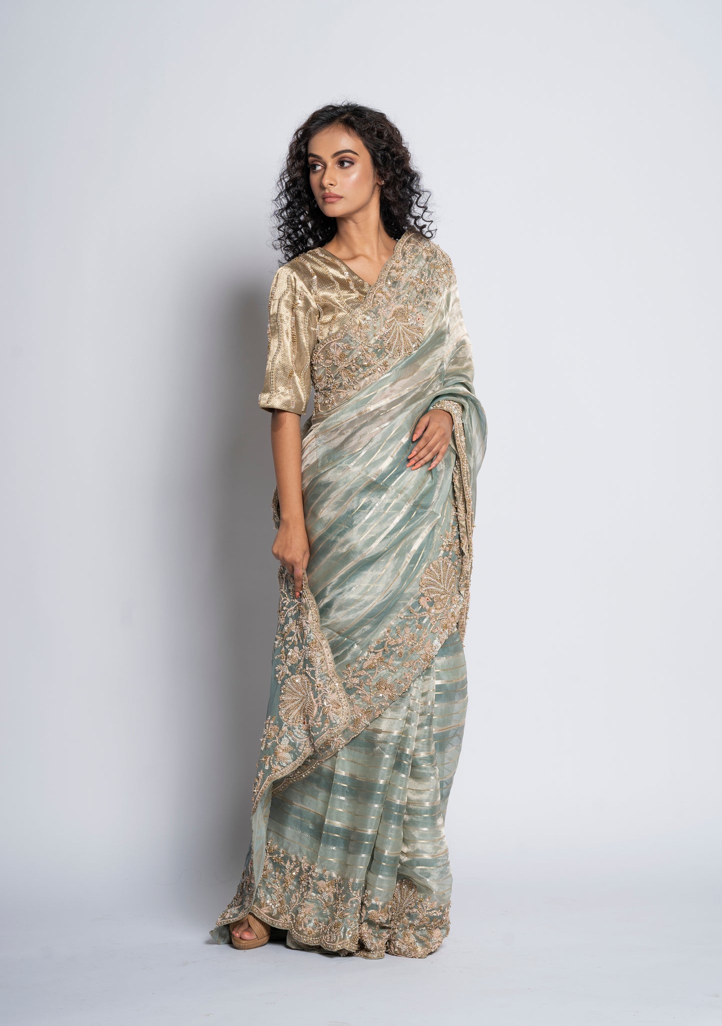 Pure silk tissue saree (7823)