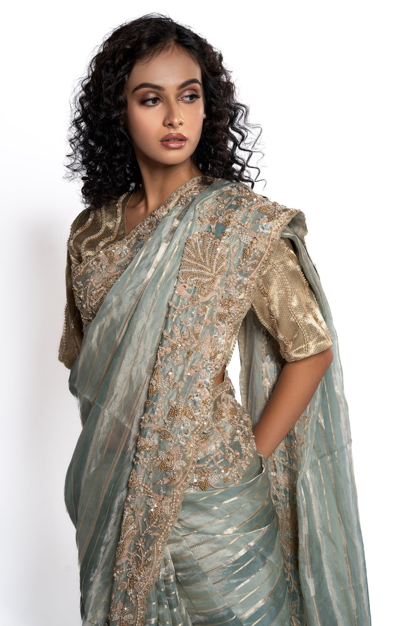 Pure silk tissue saree (7823)