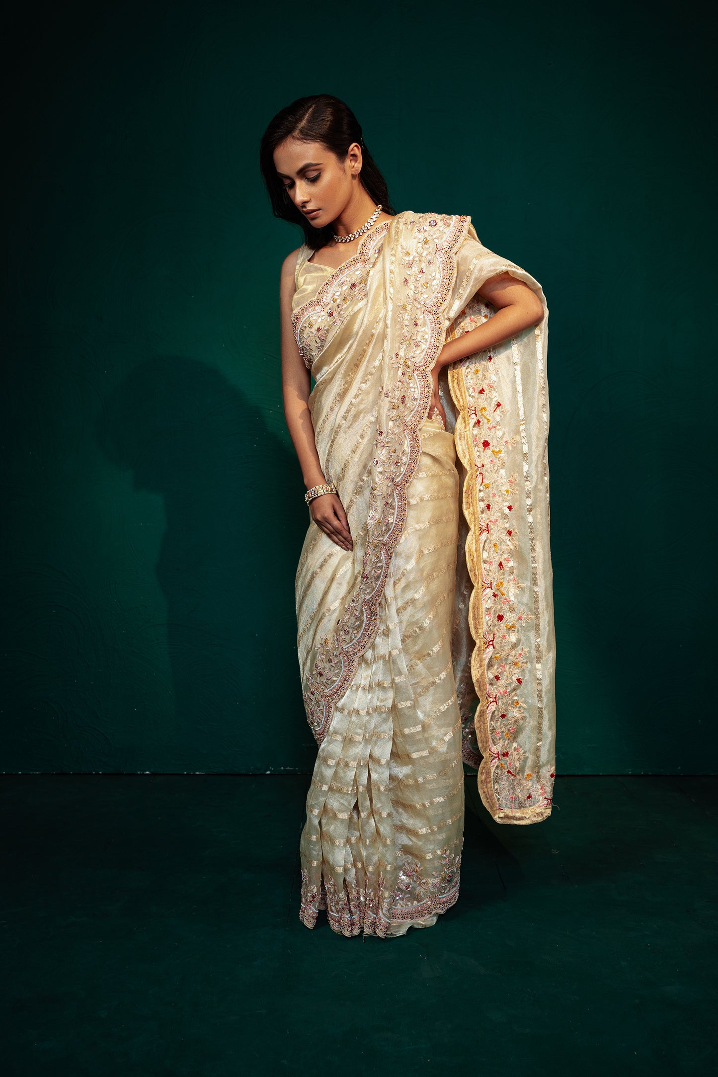 Beige Hand Embroidered Tissue Saree