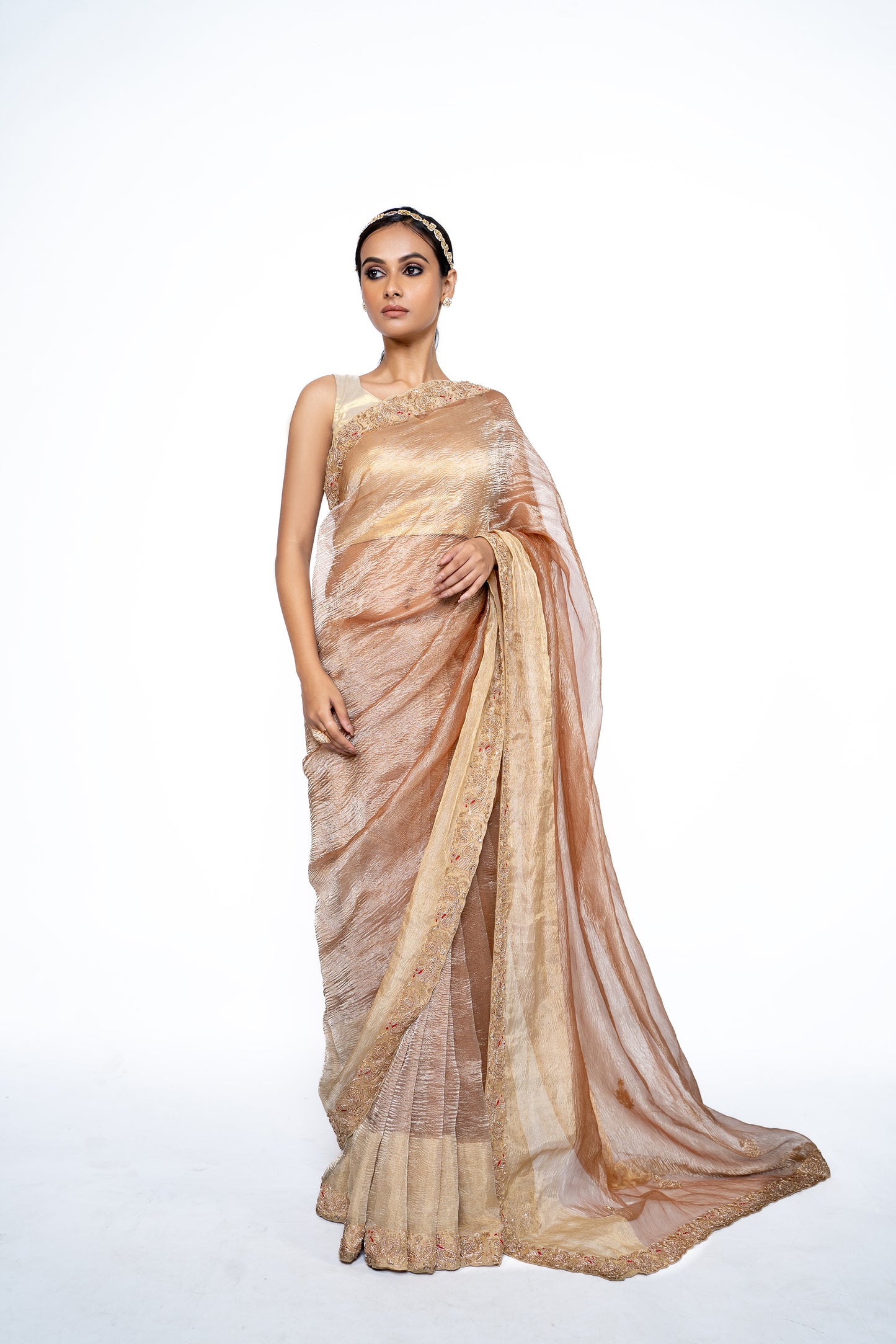 Charming Gold Tissue Saree