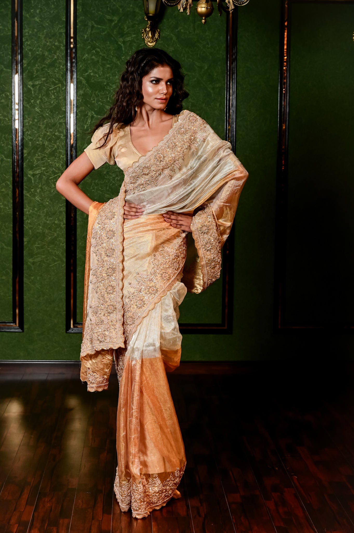 A GOLD-IVORY HALF AND HALF KANCHI TISSUE SAREE 8129