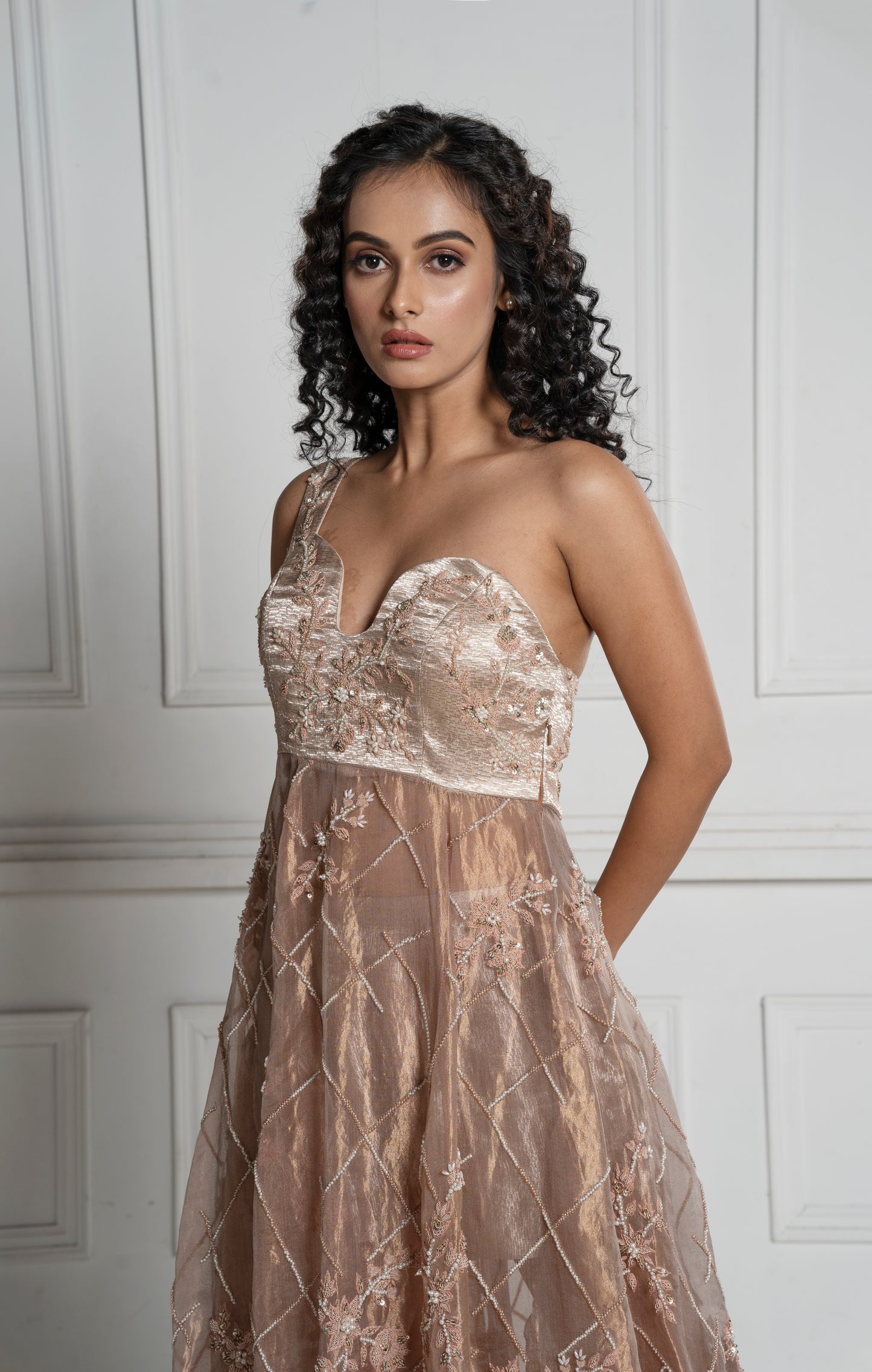 Sheer metallic dress( HL1009)