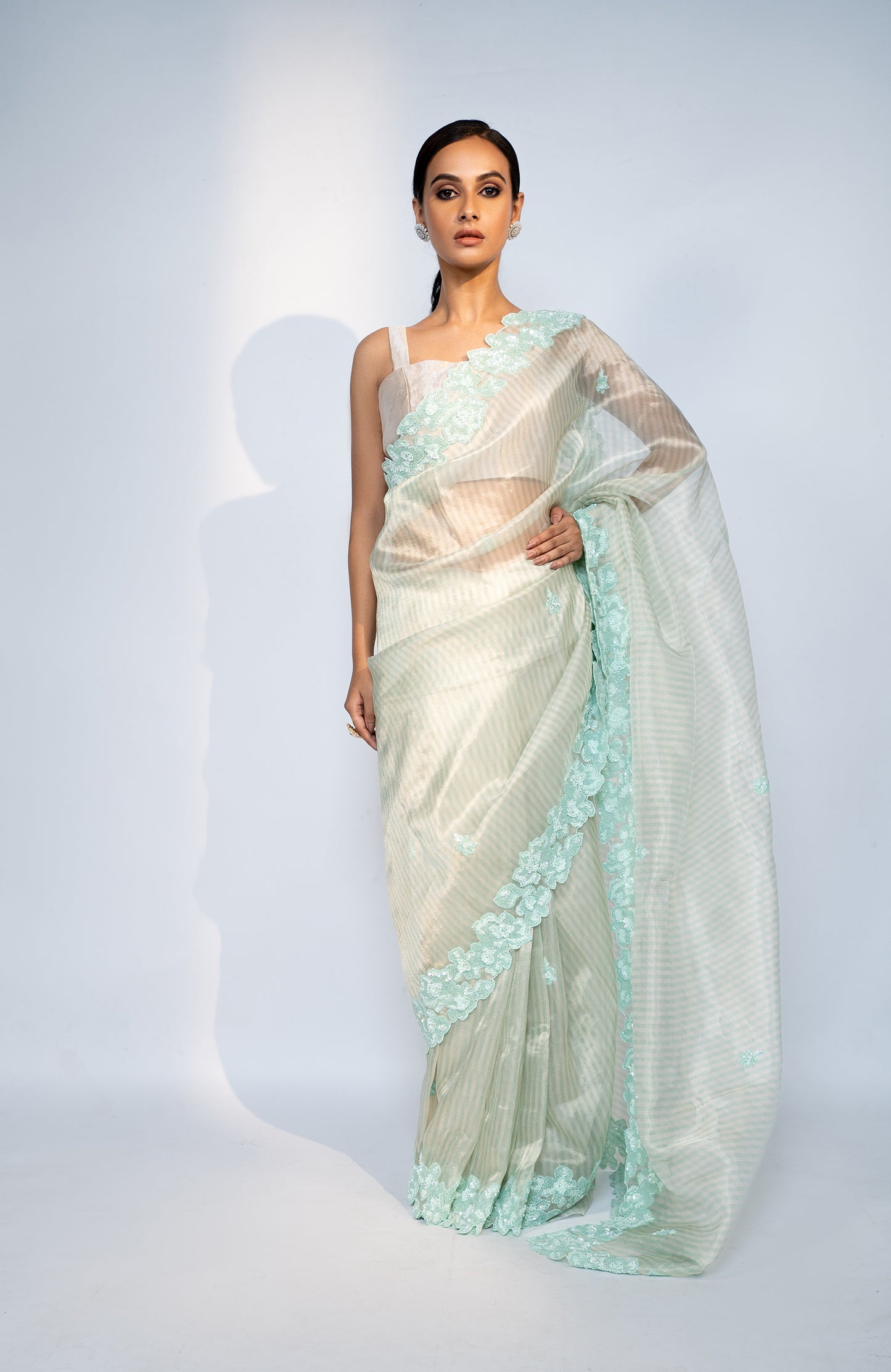 Light Green Tissue Saree