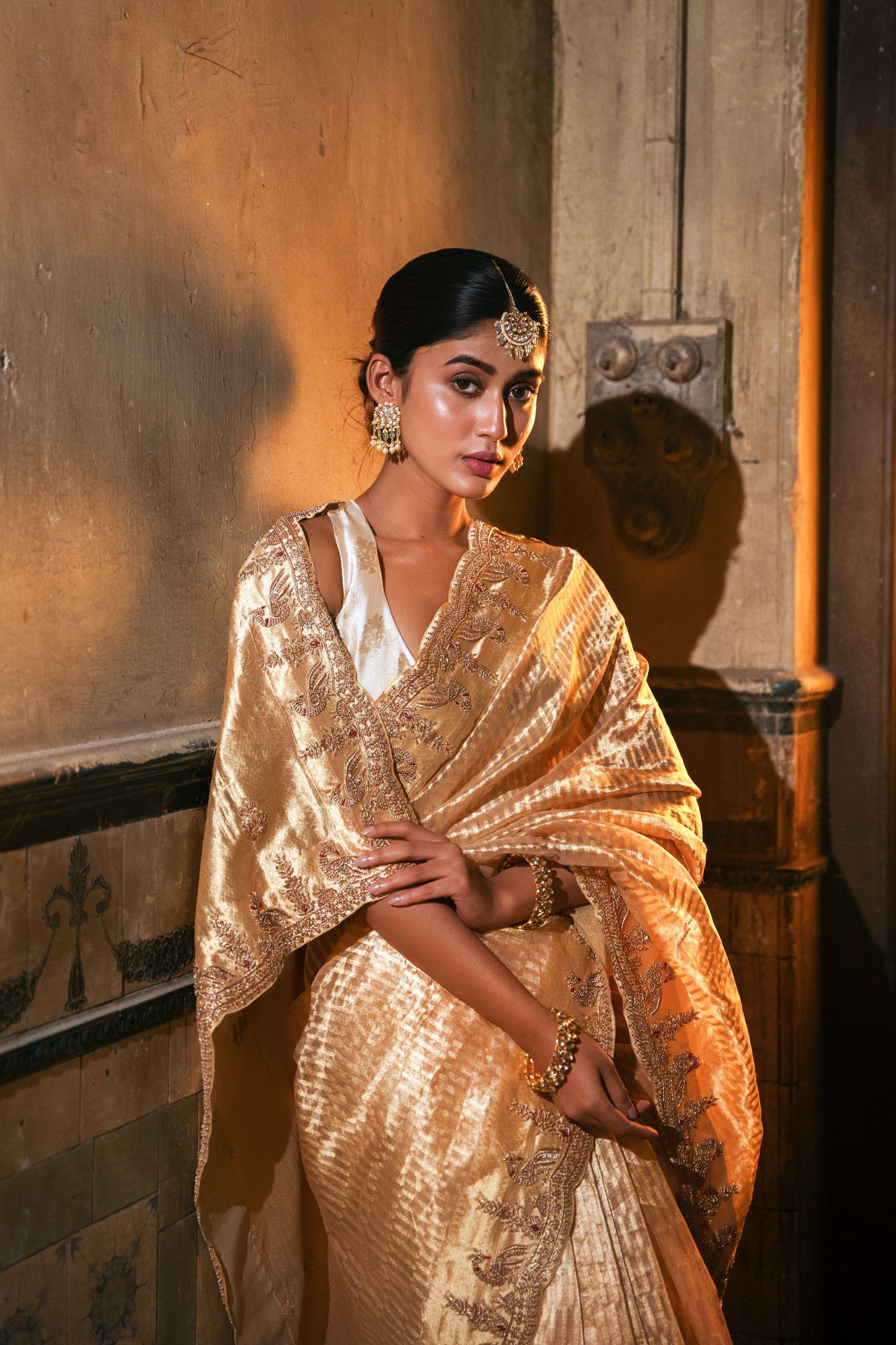 Banarasi tissue saree 6753