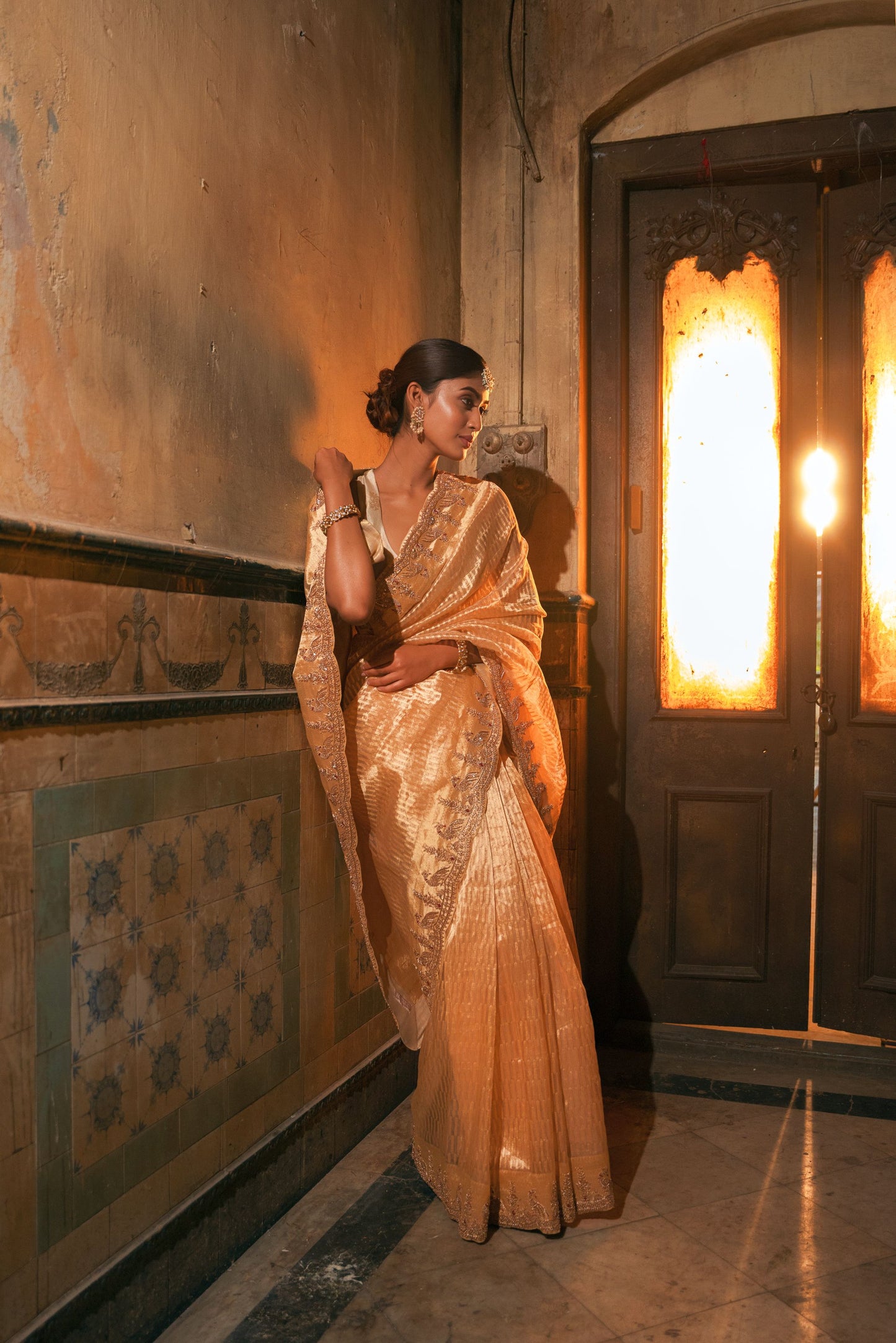 Banarasi tissue saree 6753